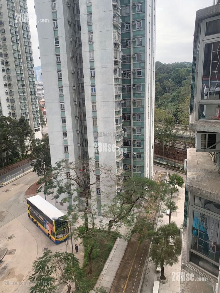 沙田第一城 租盤 2 房 , 1 浴室 327 平方呎