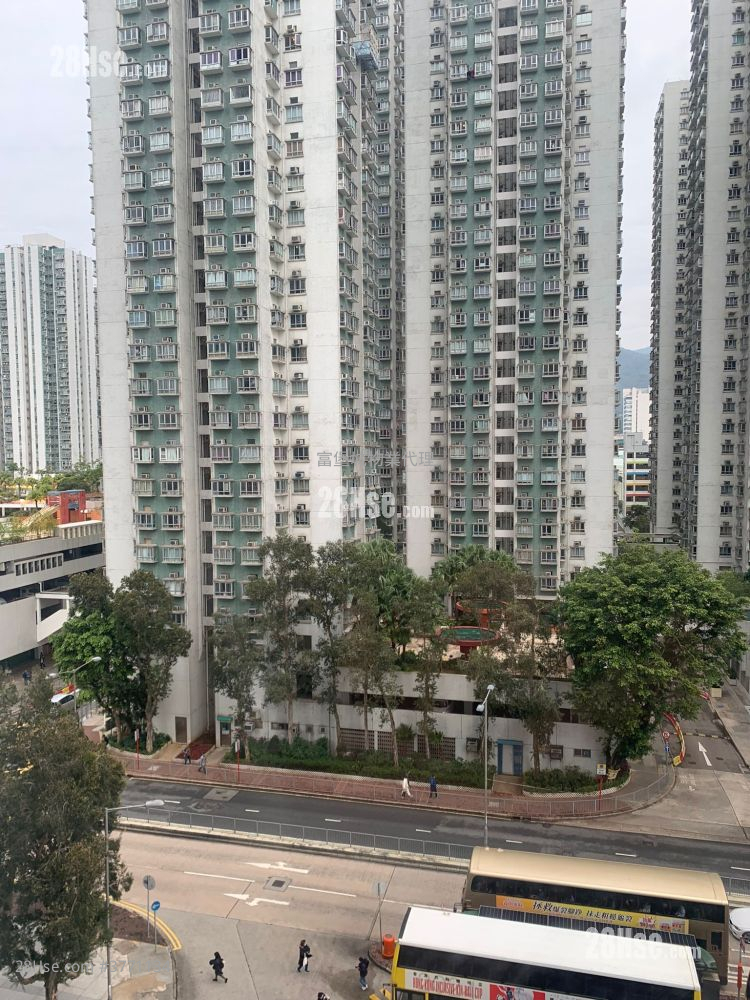 沙田第一城 租盤 2 房 , 1 浴室 327 平方呎