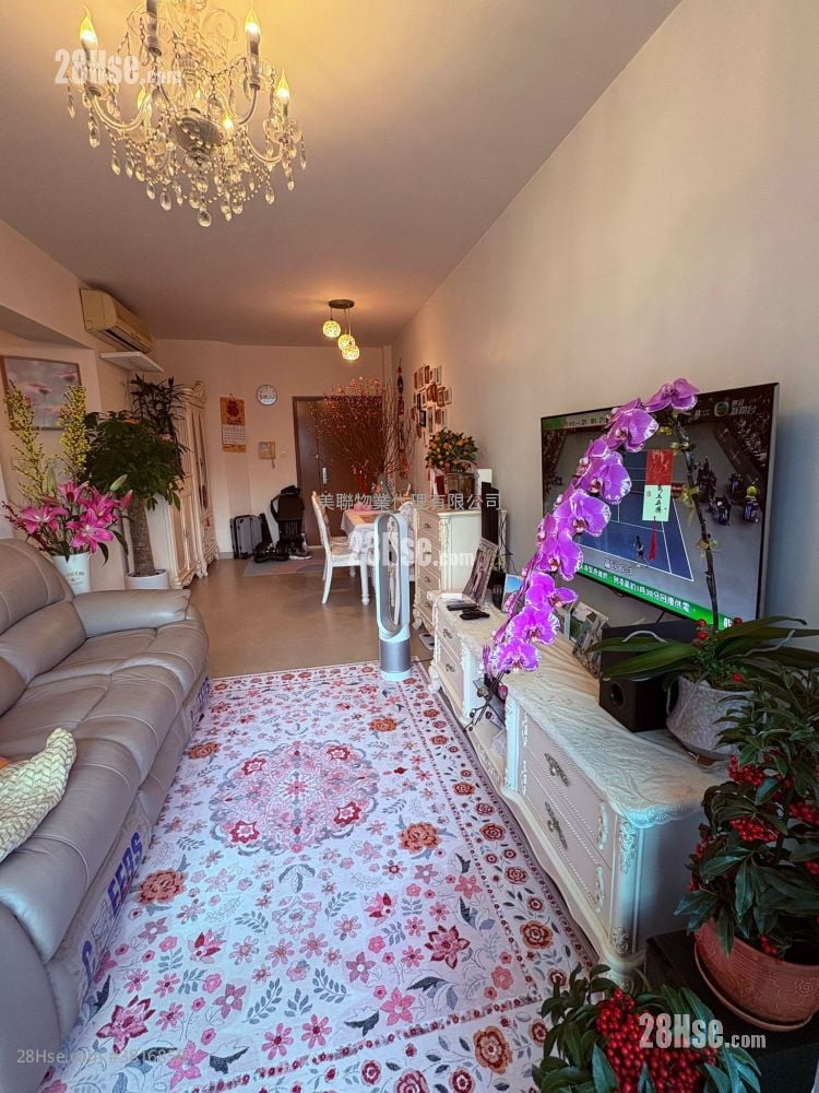 Coastal Skyline Rental 3 Bedrooms , 2 Bathrooms 803 ft²