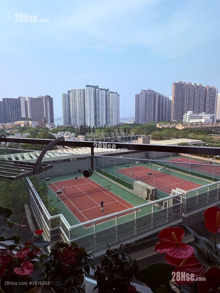 Coastal Skyline Rental 3 Bedrooms , 2 Bathrooms 803 ft²