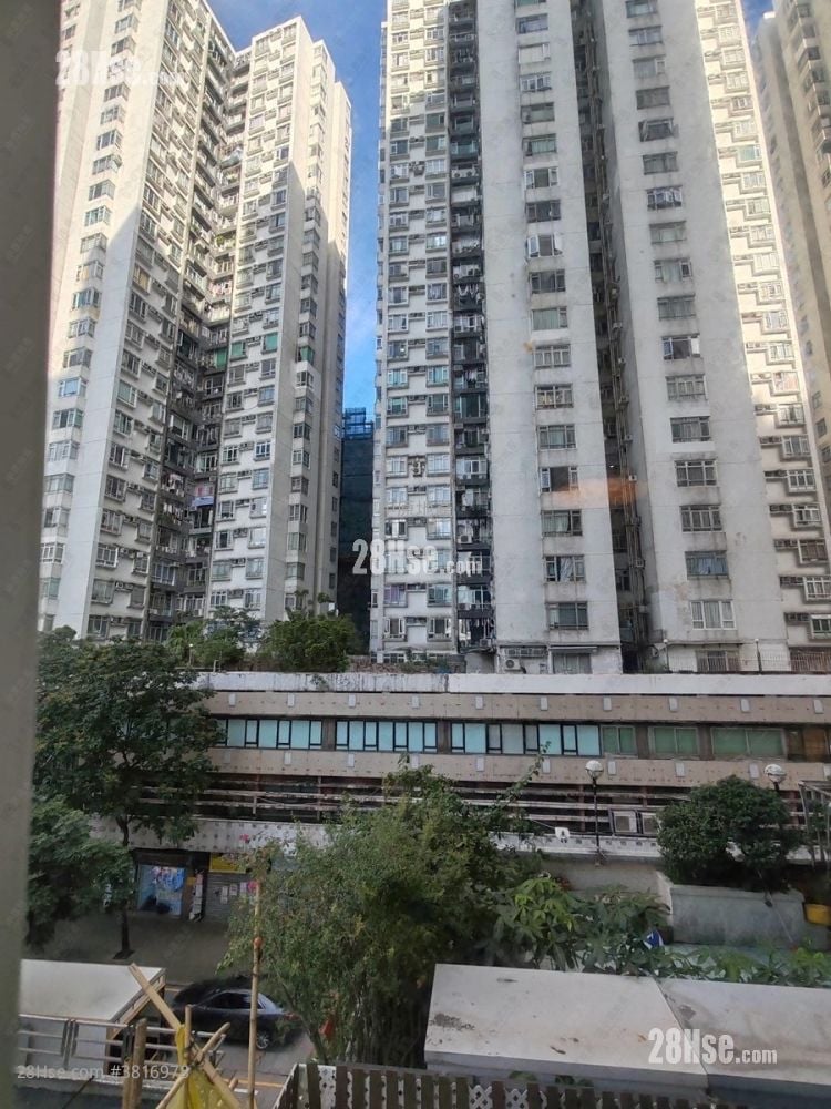 城市花園 售盤 3 房 1,169 平方呎