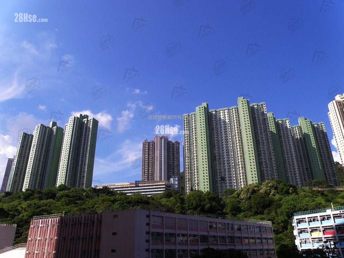 康柏苑 售盘 3 房 , 1 浴室 554 平方尺