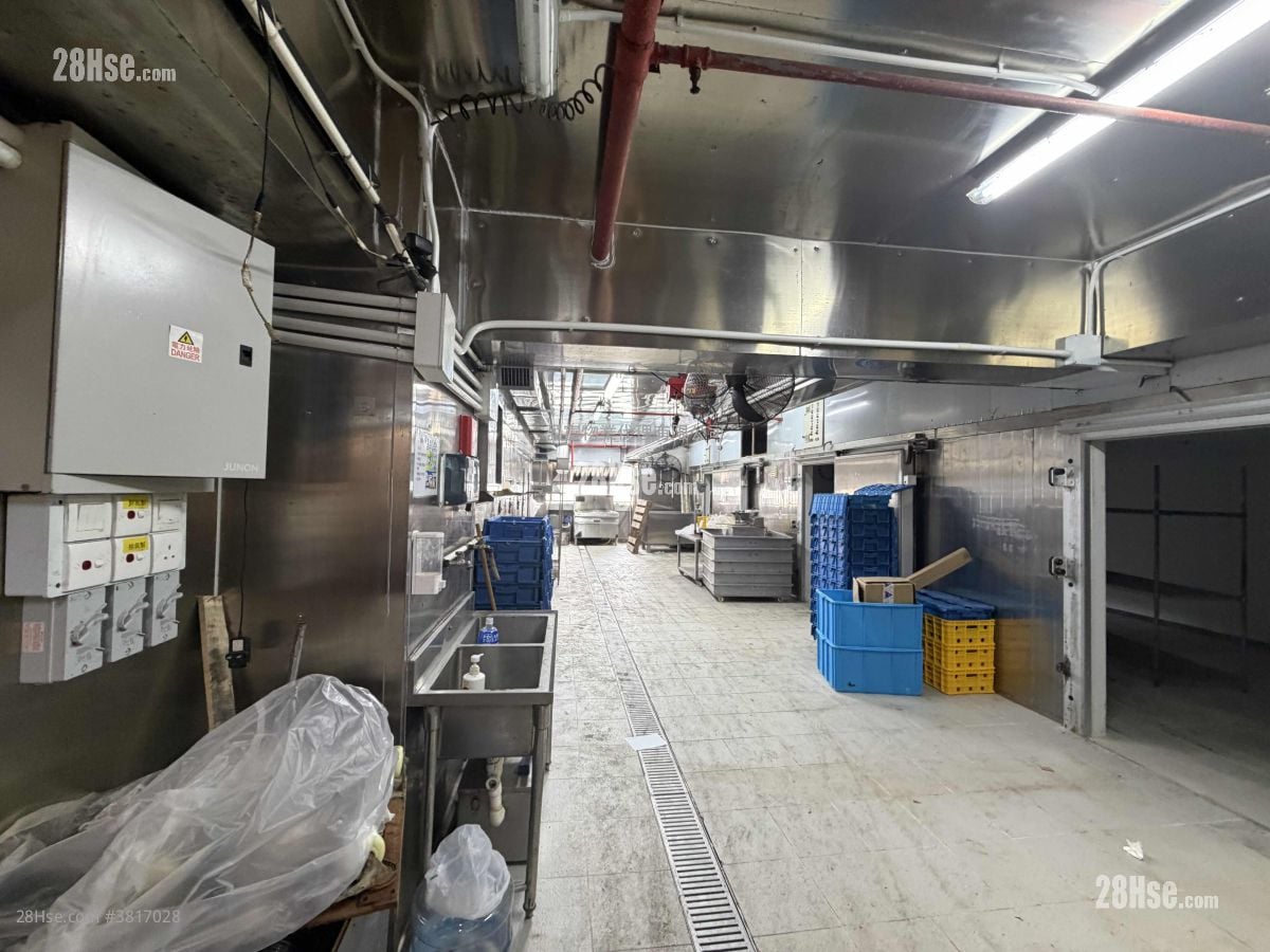 油塘工业城 租盘 开放式间隔 , 2 厕所