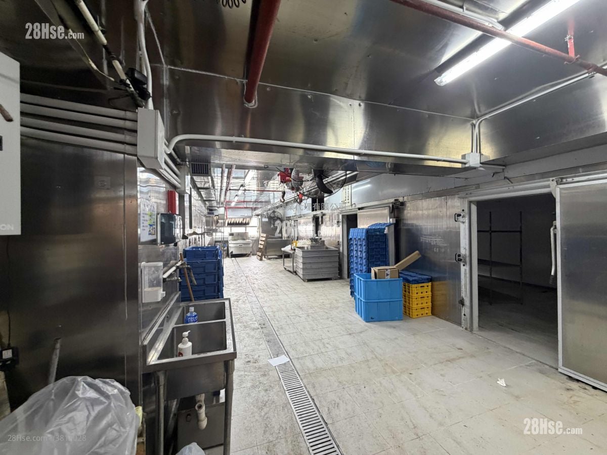 油塘工业城 租盘 开放式间隔 , 2 厕所