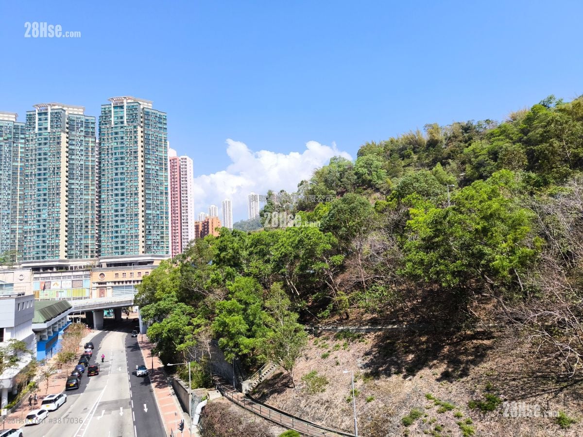 美孚新邨 售盘 3 房 , 2 浴室 705 平方尺