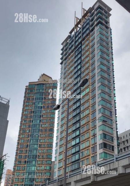 別樹華軒 售盤 1 房 267 平方呎