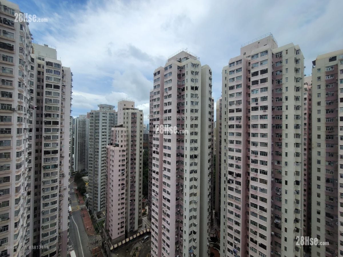 荃灣中心 租盤 2 房 , 1 浴室 374 平方呎