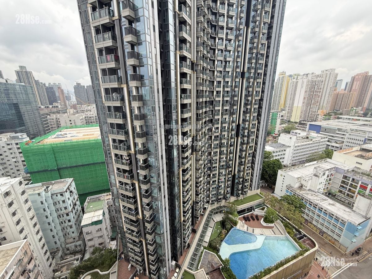 晓盈 售盘 1 房 295 平方尺