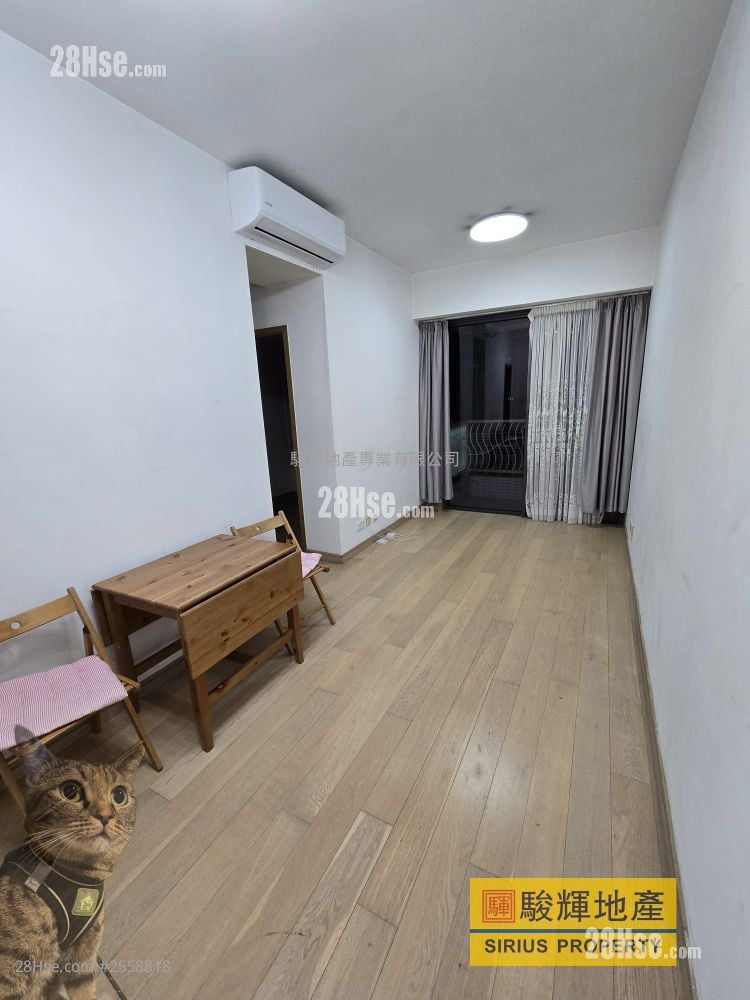 百匯軒 租盤 2 房 , 1 浴室 473 平方呎