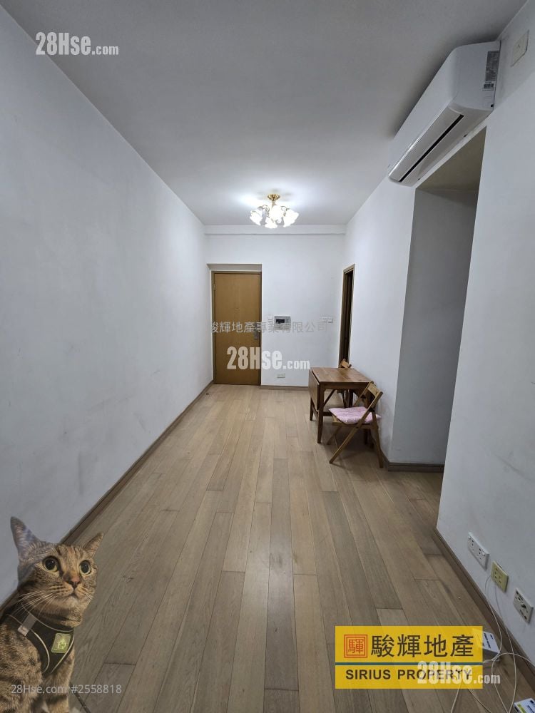 百匯軒 租盤 2 房 , 1 浴室 473 平方呎