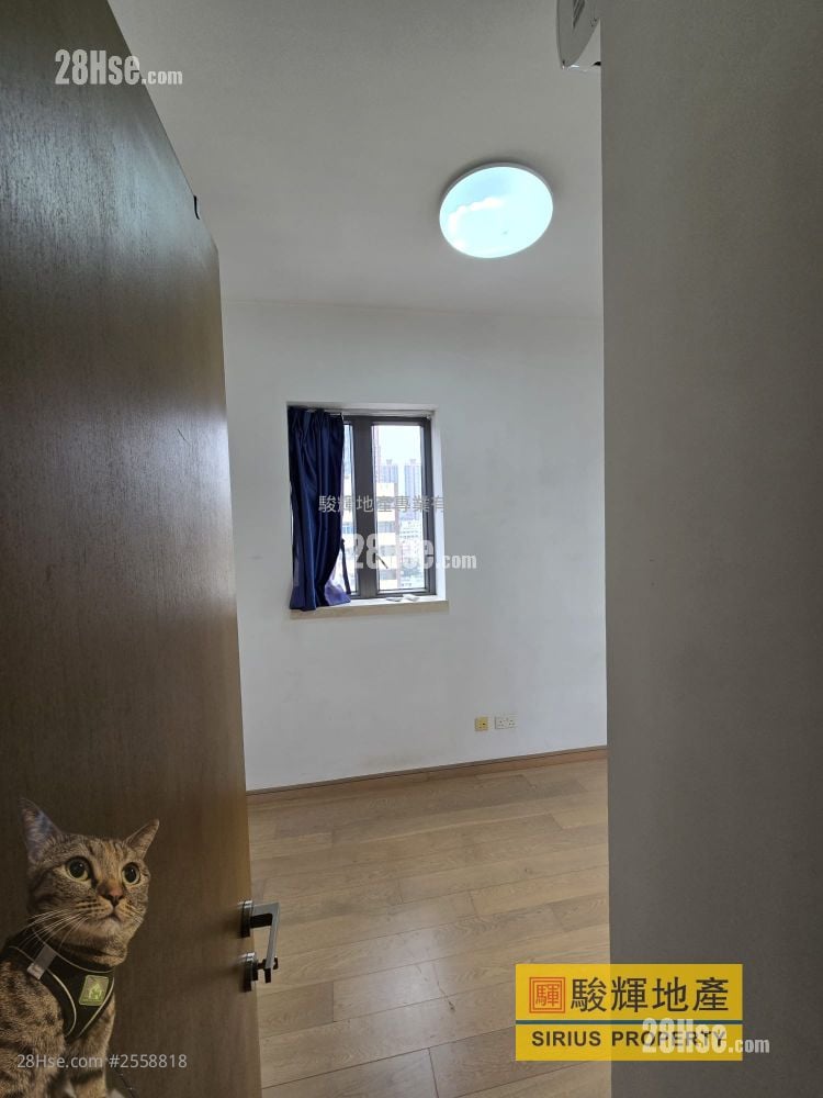 百匯軒 租盤 2 房 , 1 浴室 473 平方呎