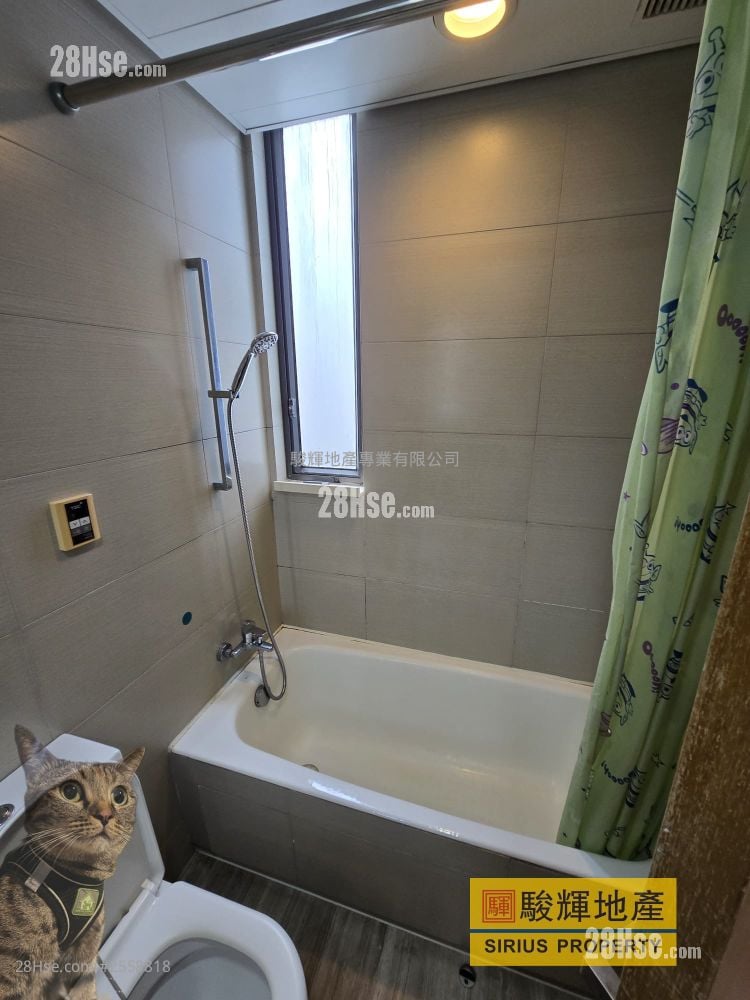 百匯軒 租盤 2 房 , 1 浴室 473 平方呎