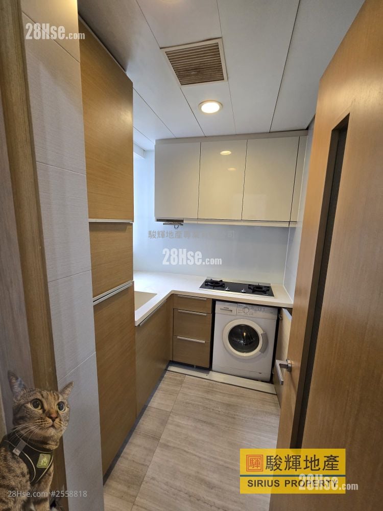 百匯軒 租盤 2 房 , 1 浴室 473 平方呎