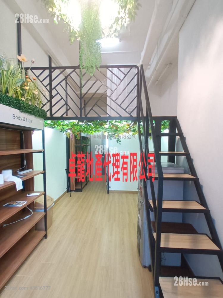 I City Rental 1 Toilet