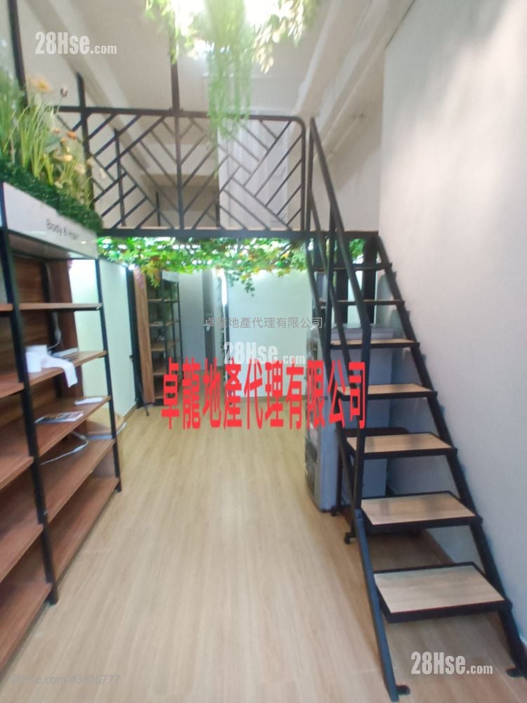 I City Rental 1 Toilet