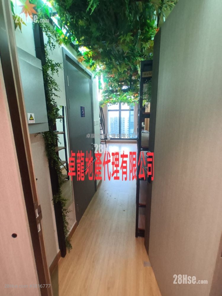 I City Rental 1 Toilet