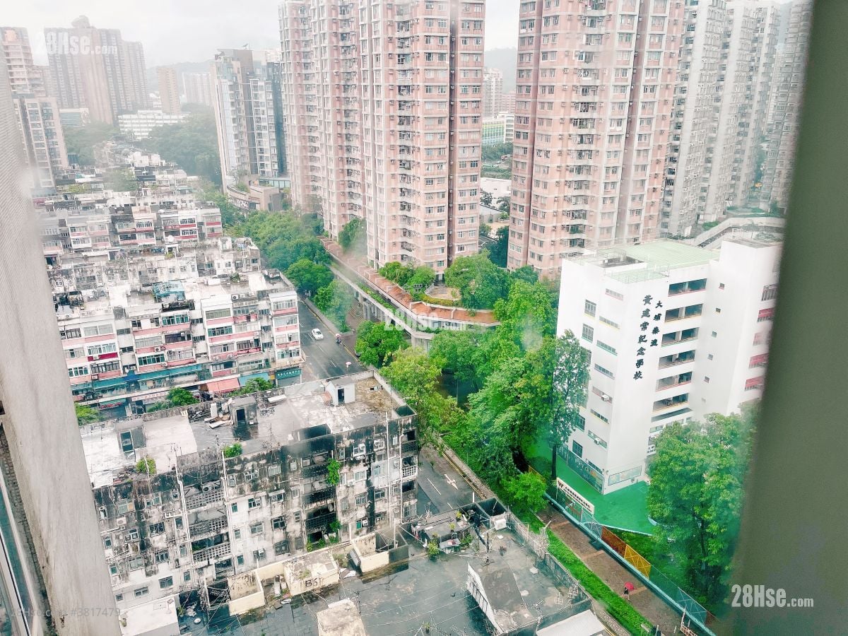 Tony Court Rental 374 ft²