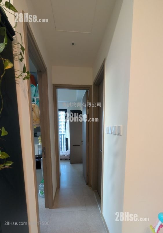 Kennedy 38 租盘 2 房 , 1 浴室 456 平方尺