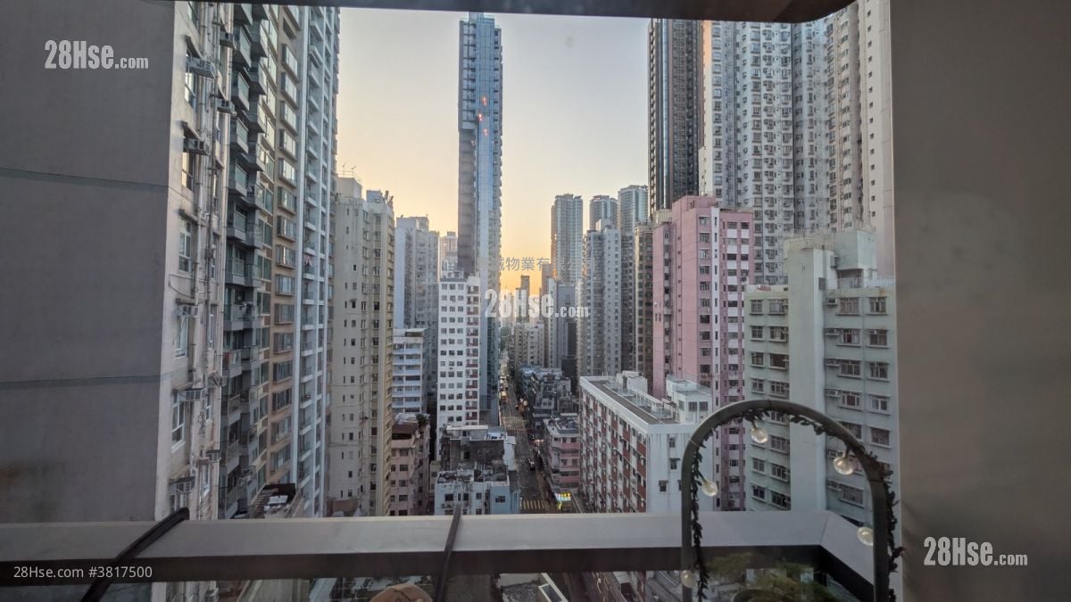 Kennedy 38 租盘 2 房 , 1 浴室 456 平方尺