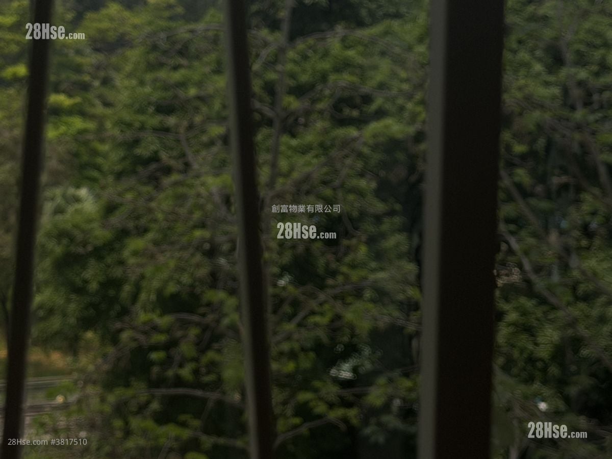 维景花园 租盘 452 平方尺