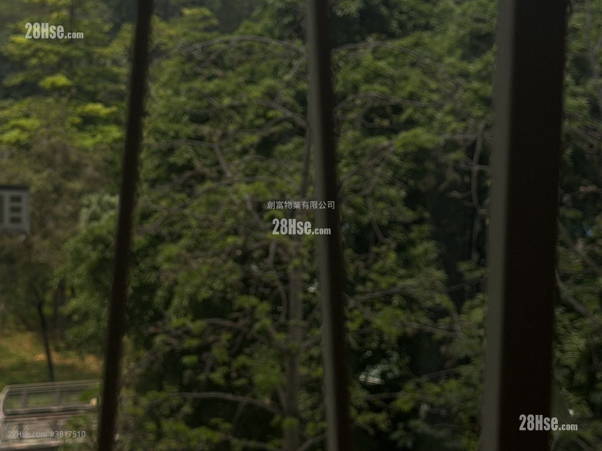 维景花园 租盘 452 平方尺