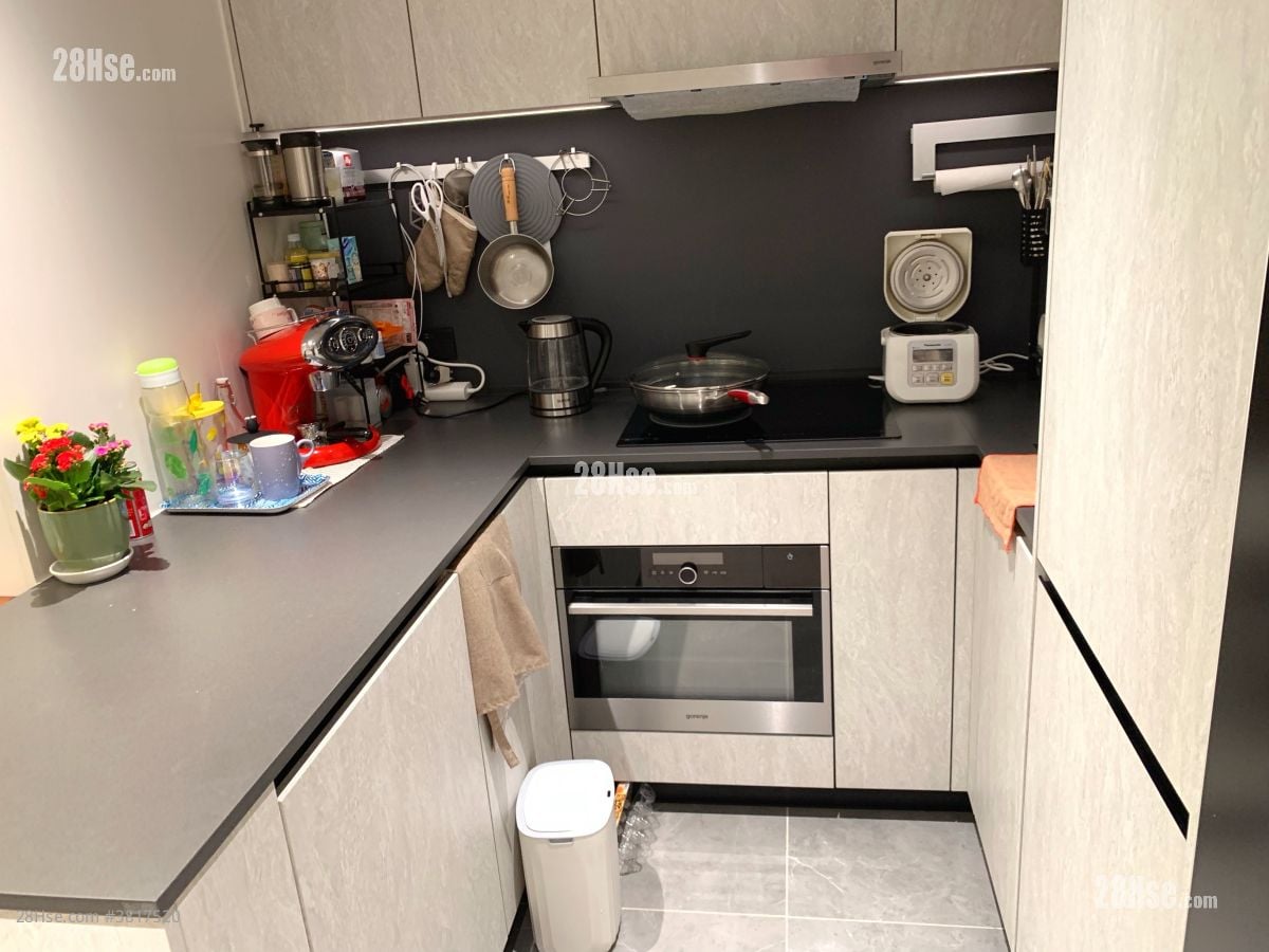 朗濤 租盤 1 房 396 平方呎