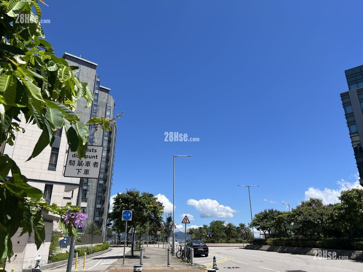 朗濤 租盤 1 房 396 平方呎