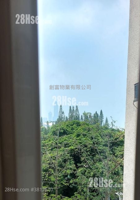 维景花园 租盘 452 平方尺