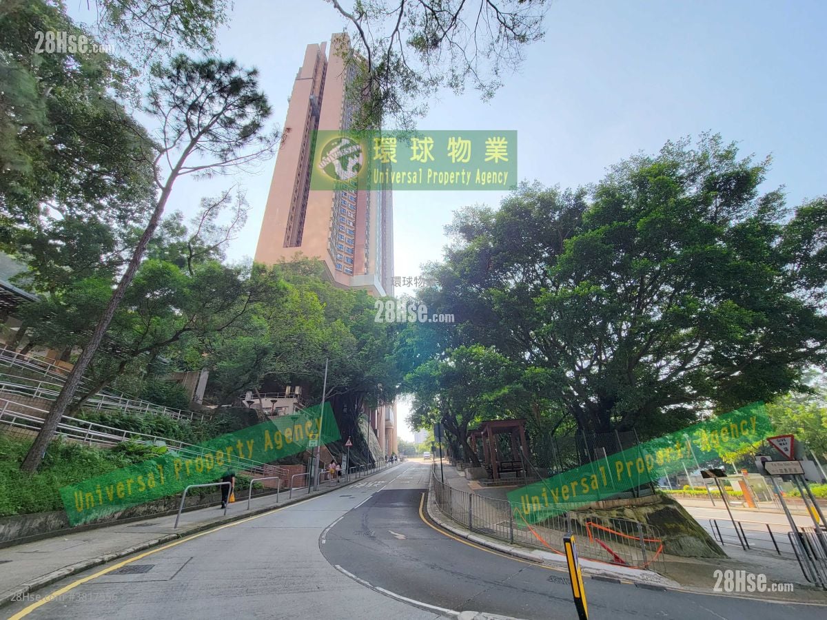 加惠臺 租盤 2 房 , 1 浴室 464 平方呎