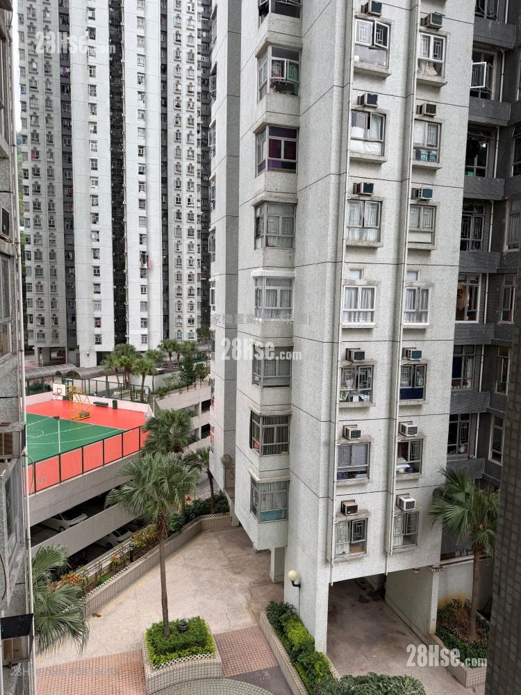 Belvedere Garden Rental 3 Bedrooms , 2 Bathrooms 668 ft²