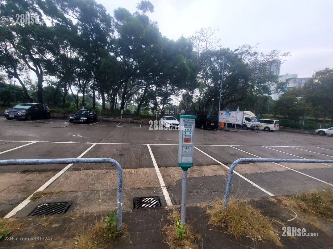 村屋 租盘 开放式间隔 , 1 浴室 300 平方尺