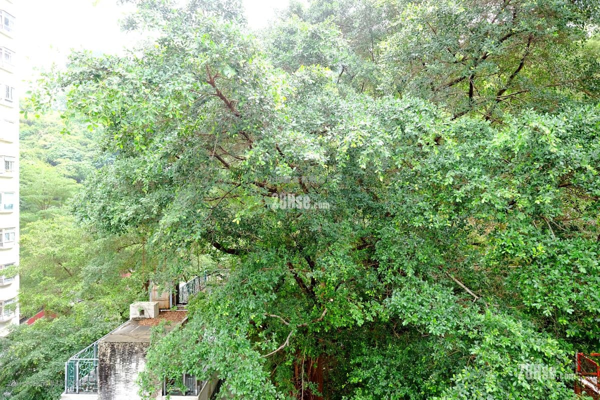 景观: 浣纱街11-11A号 售盘 2 房 , 1 浴室 638 平方尺