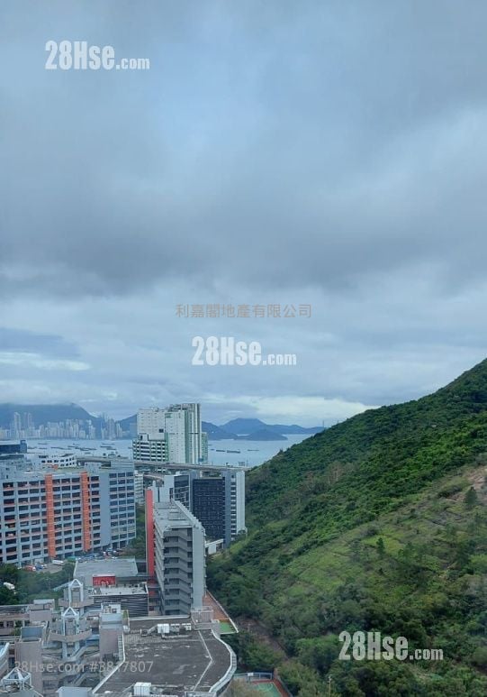 明翹匯 租盤 2 房 , 1 浴室 432 平方呎