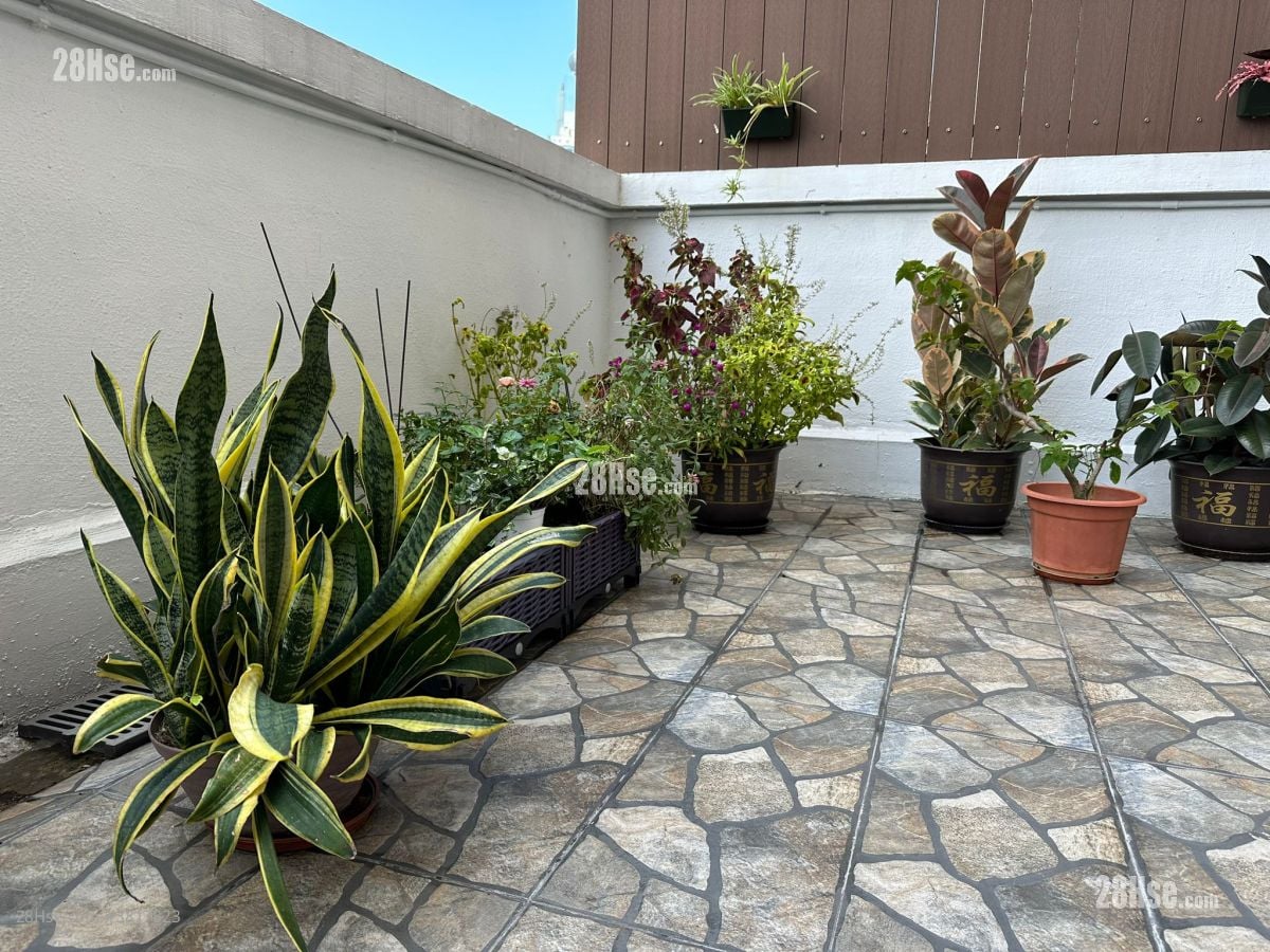 美新楼 售盘 366 平方尺