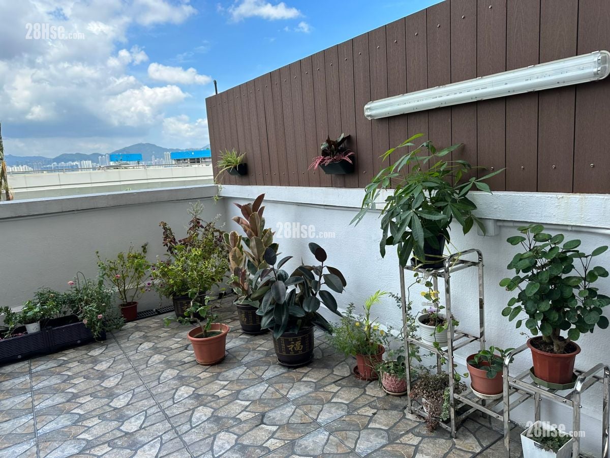 美新楼 售盘 366 平方尺