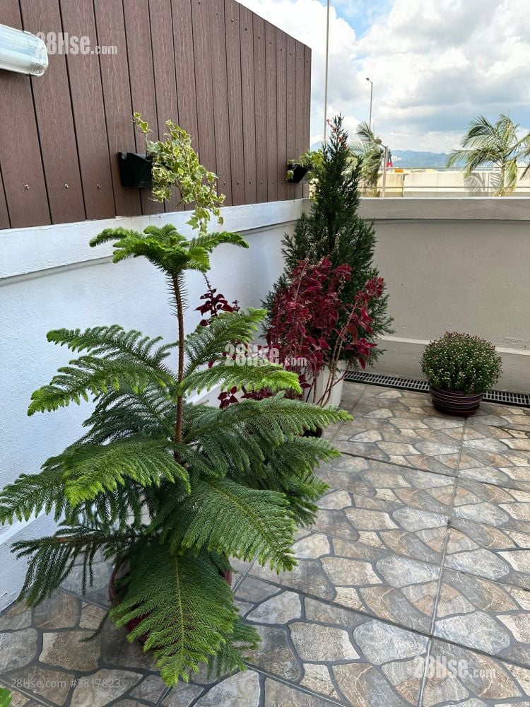 美新楼 售盘 366 平方尺