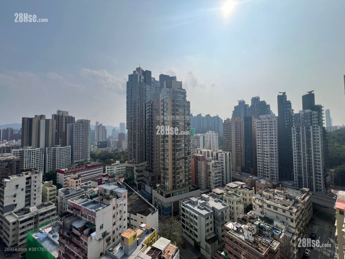 马头围道 启岸 租盘 开放式间隔 196 平方尺