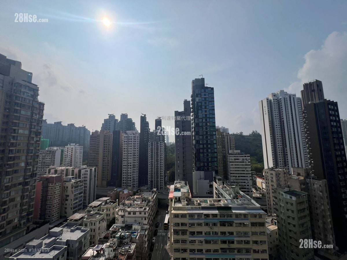 马头围道 启岸 租盘 开放式间隔 196 平方尺