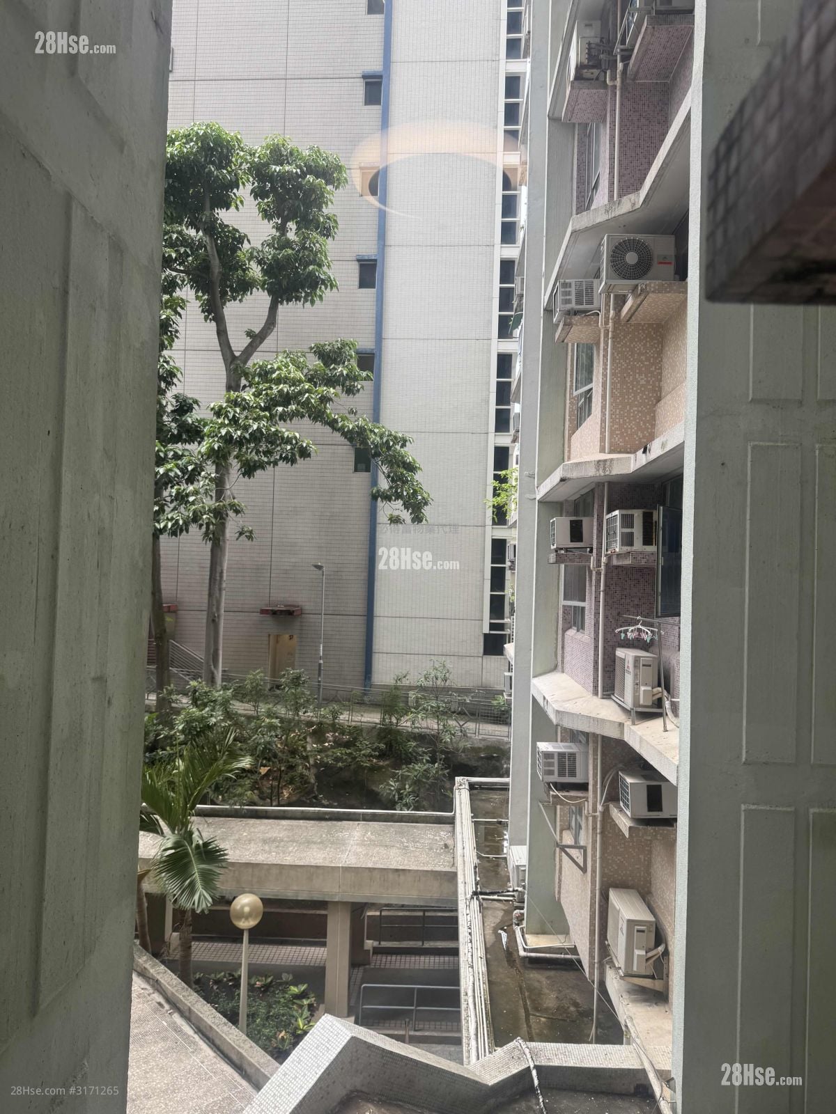 東欣苑 租盤 開放式間隔 , 1 浴室 213 平方呎