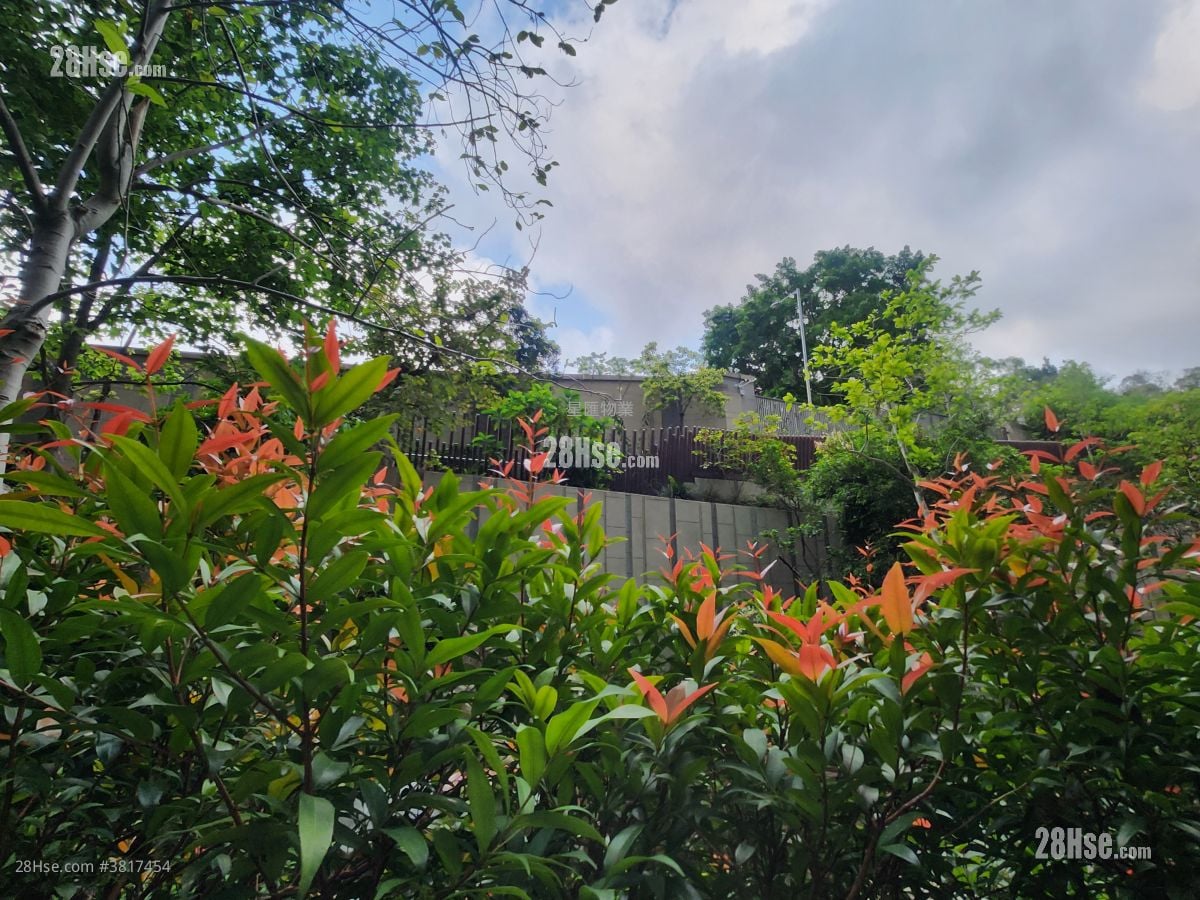 皓畋 售盘 3 房 , 1 浴室 656 平方尺