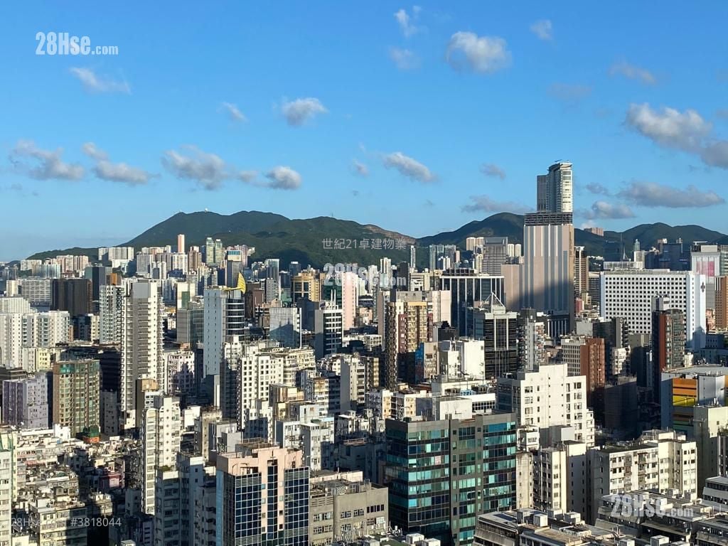 御金國峯 售盤 1 房 , 1 浴室 454 平方呎