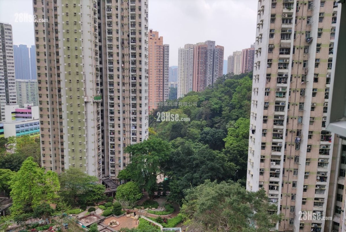 Mei Chung Court Sell 645 ft²