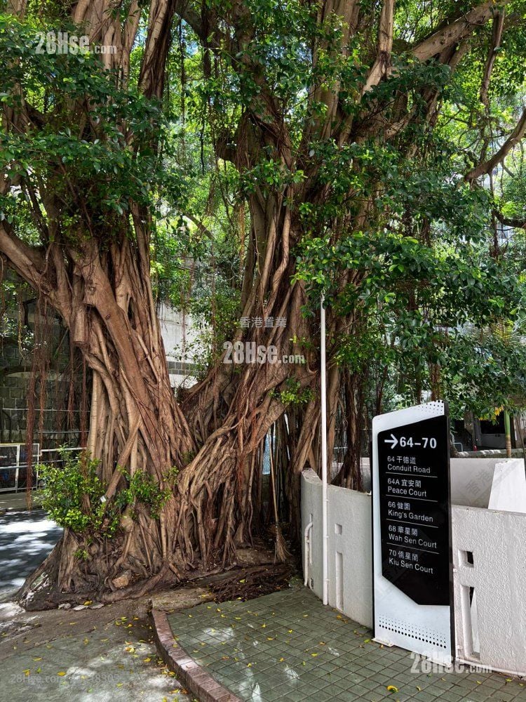 Peace Court Sell 3 Bedrooms 1,370 ft²