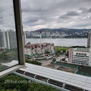 Cherry 林小姐 94909466 3房2廳+1貯Cherry 林小姐 >>東南錦鞍苑  專門店