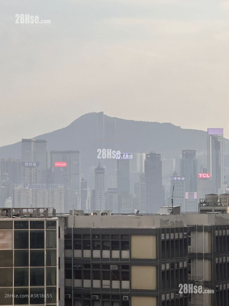 天文臺道8號 租盤