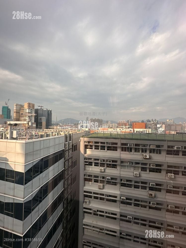 天文臺道8號 租盤