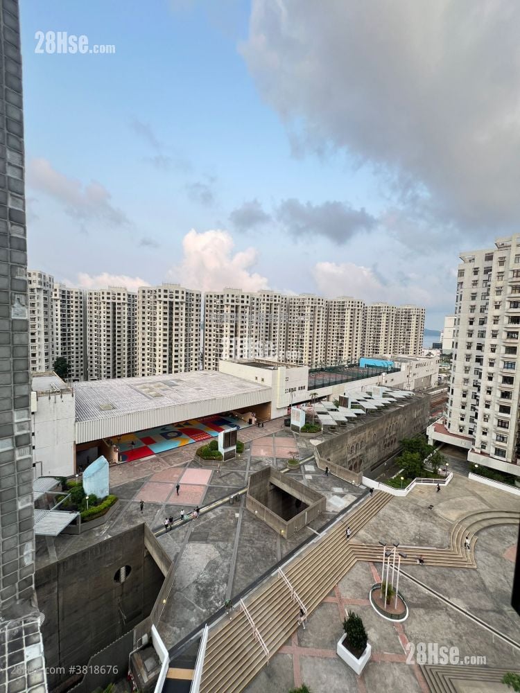 杏花邨 租盤 3 房 , 1 浴室 595 平方呎