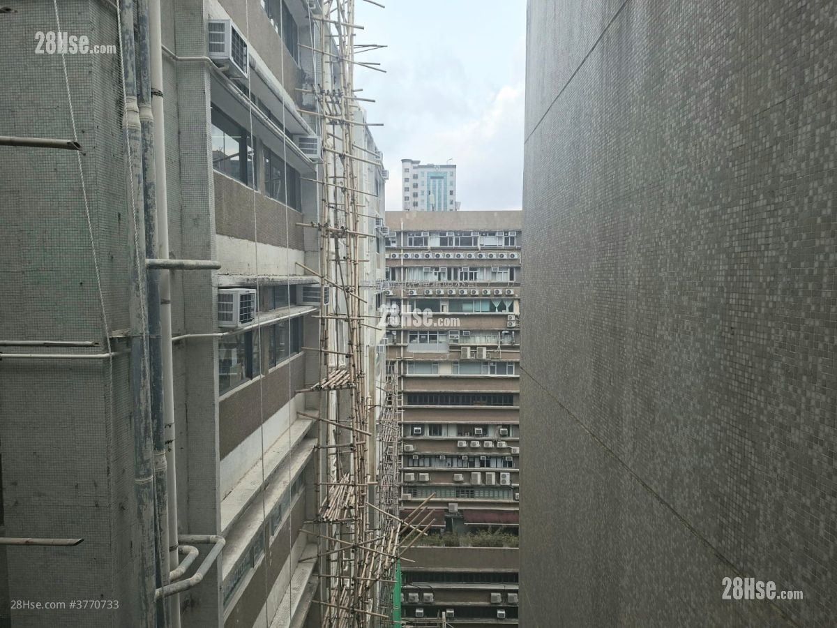 駱駝漆大廈 租盤