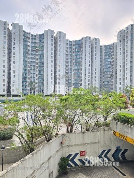 黄埔花园 售盘 2 房 505 平方尺