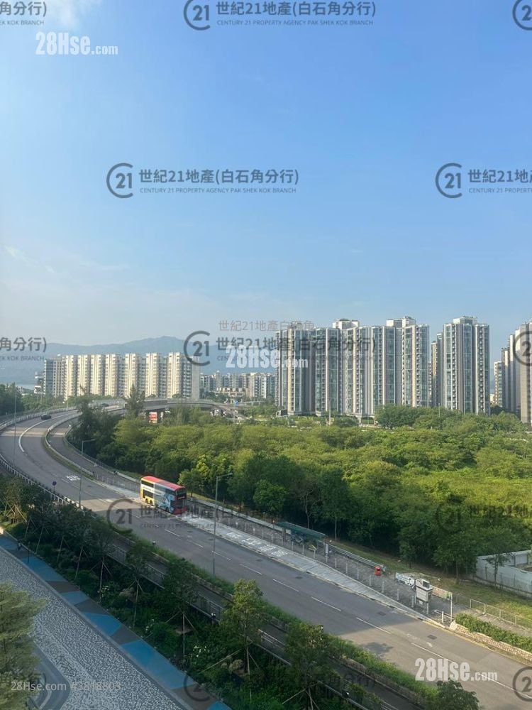 Silicon Hill Rental 3 Bedrooms , 2 Bathrooms 580 ft²